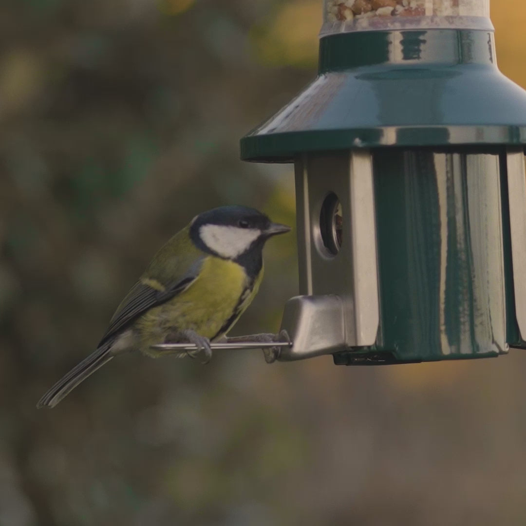 Video laden: Roamwild PestOff Eichhörnchensicherer Vogelfutterspender 2.0 für Erdnuss-/Mehlwürmer-/Talgpellets