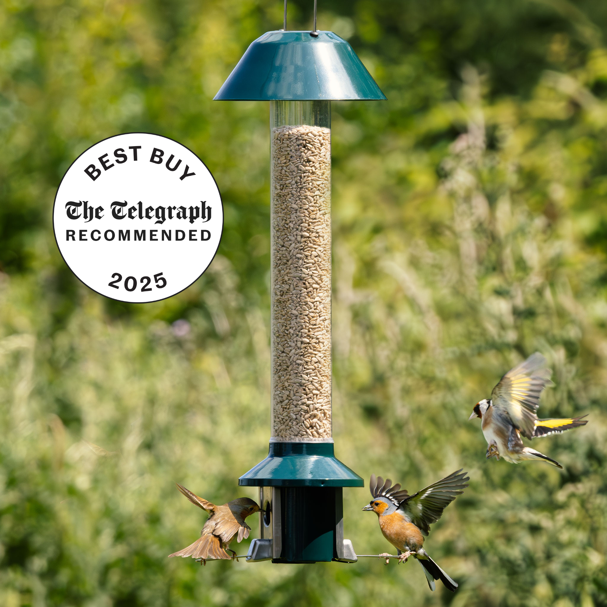 Roamwild PestOff Eichhörnchensicherer Vogelfutterspender 2.0 für gemischte Samen/Sonnenblumenherzen