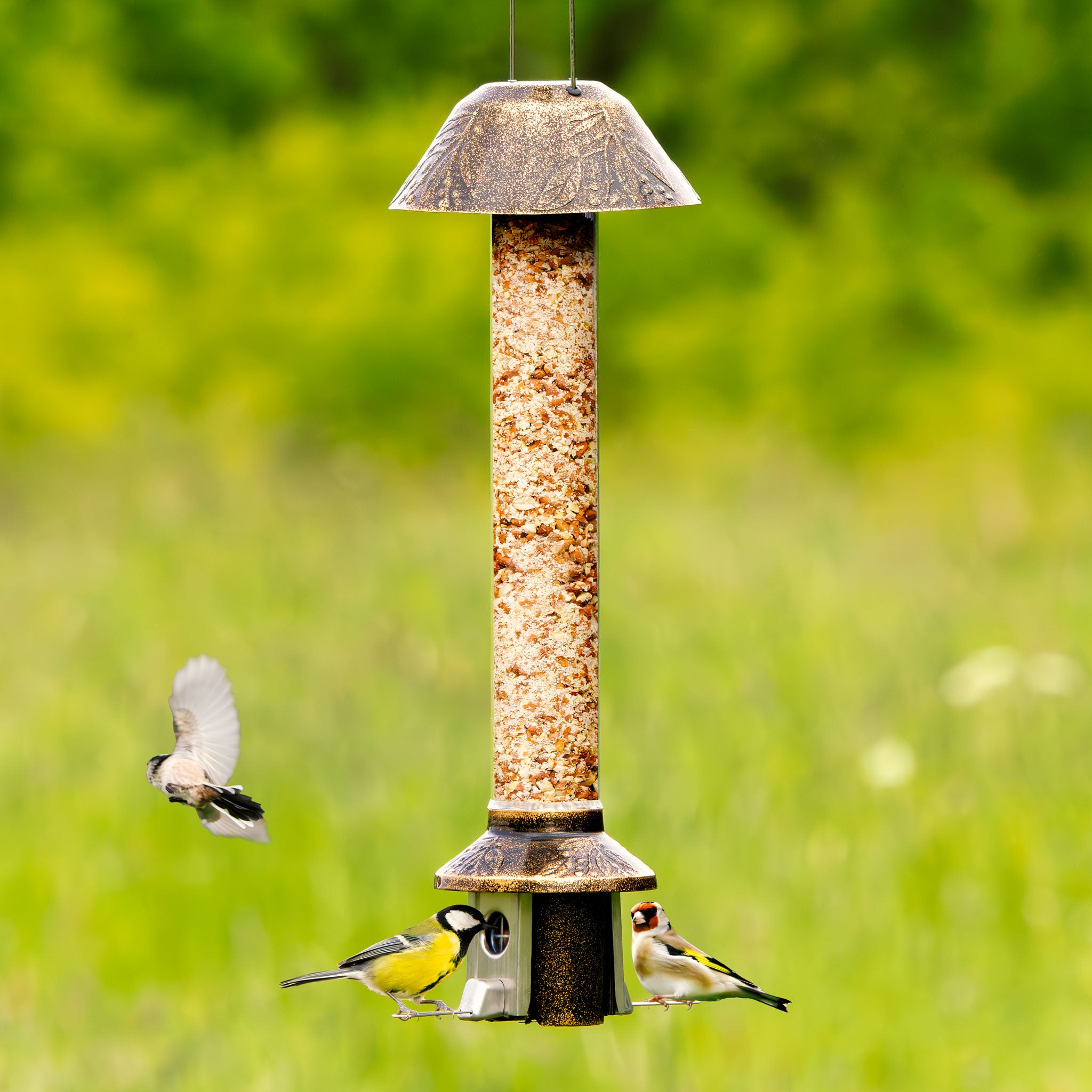 Roamwild PestOff Squirrel Proof Bird Feeder 2.0 | Antique Gold For Mixed Seed/Sunflower Hearts