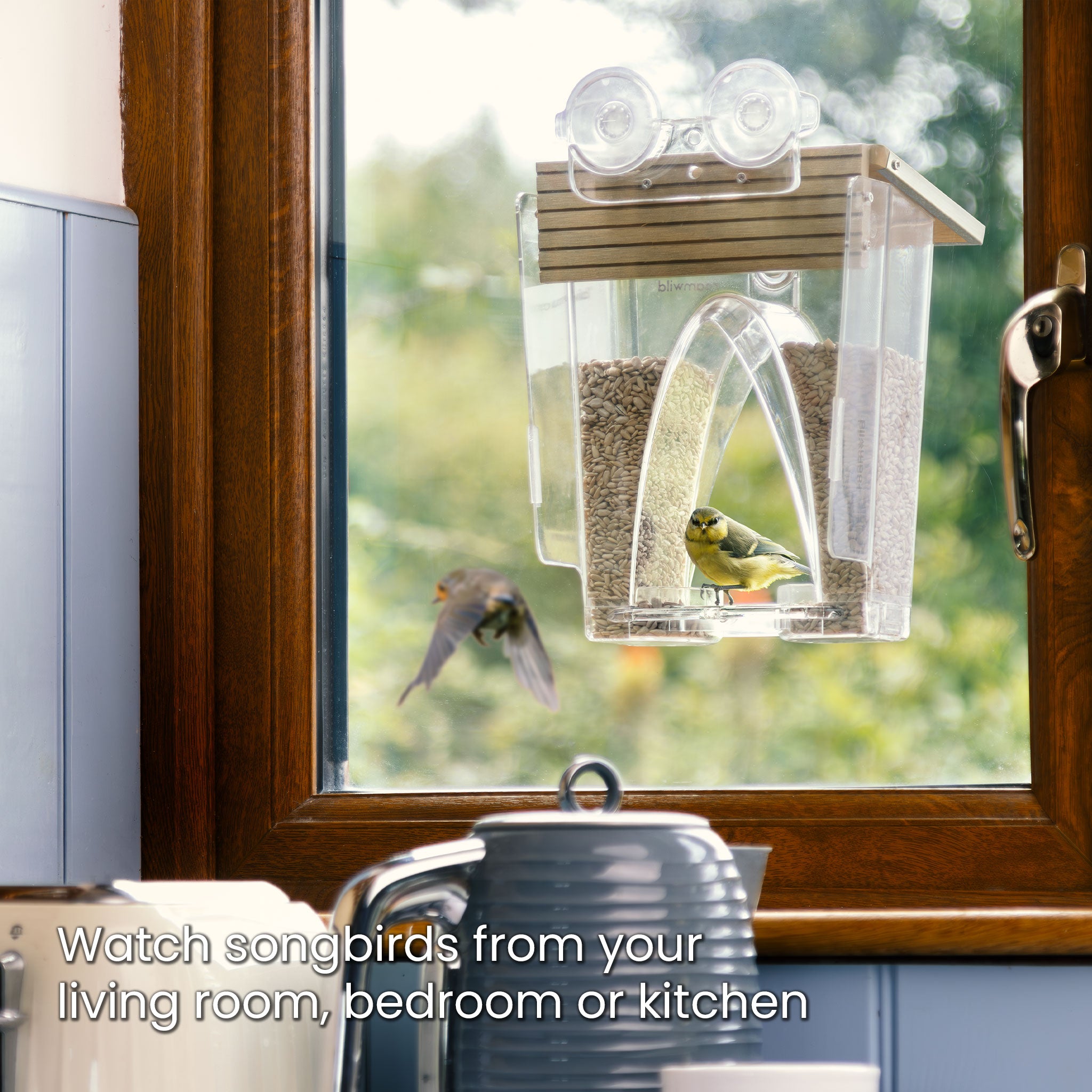Roamwild Arch Window Bird Feeder