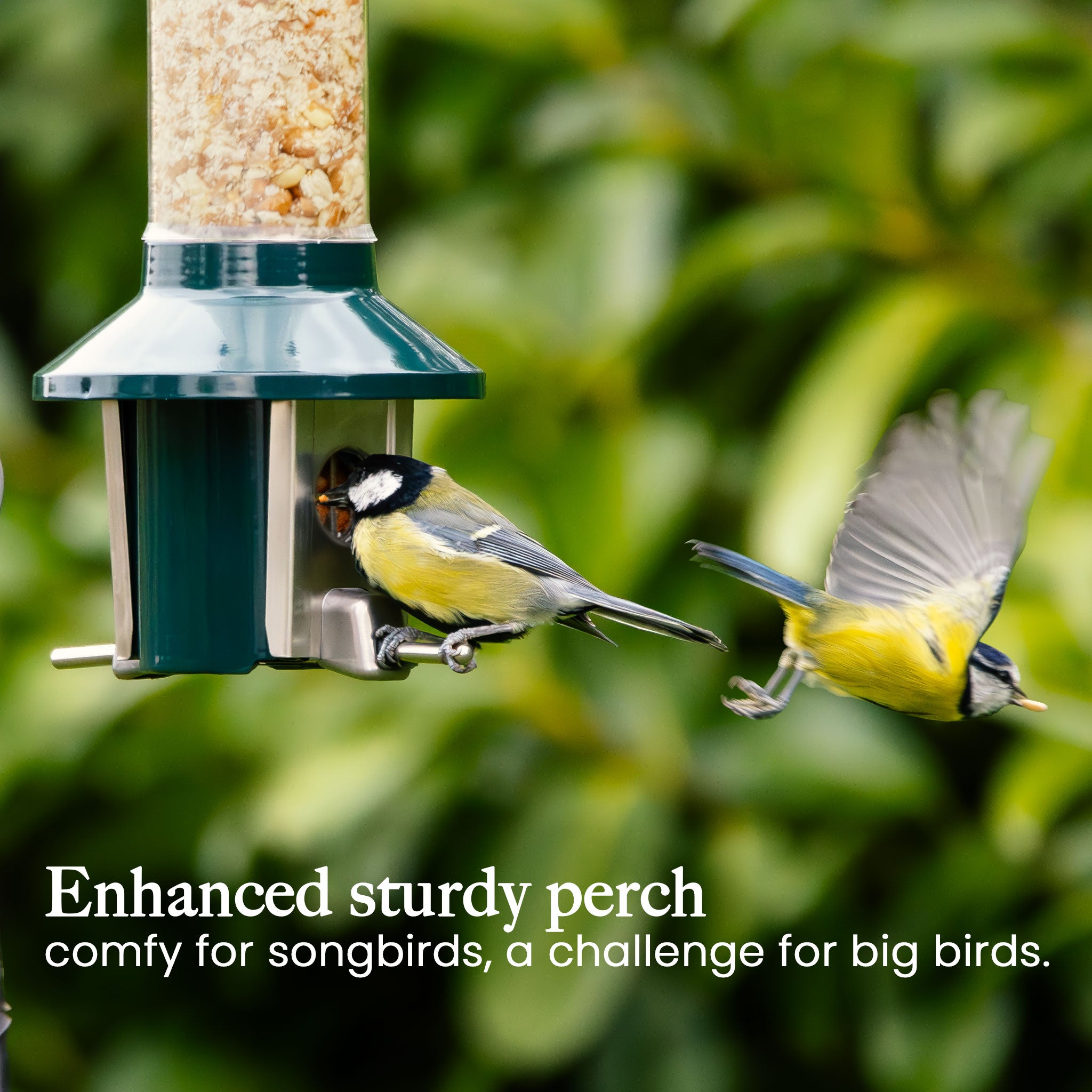 Roamwild PestOff Bird Feeder 3.0