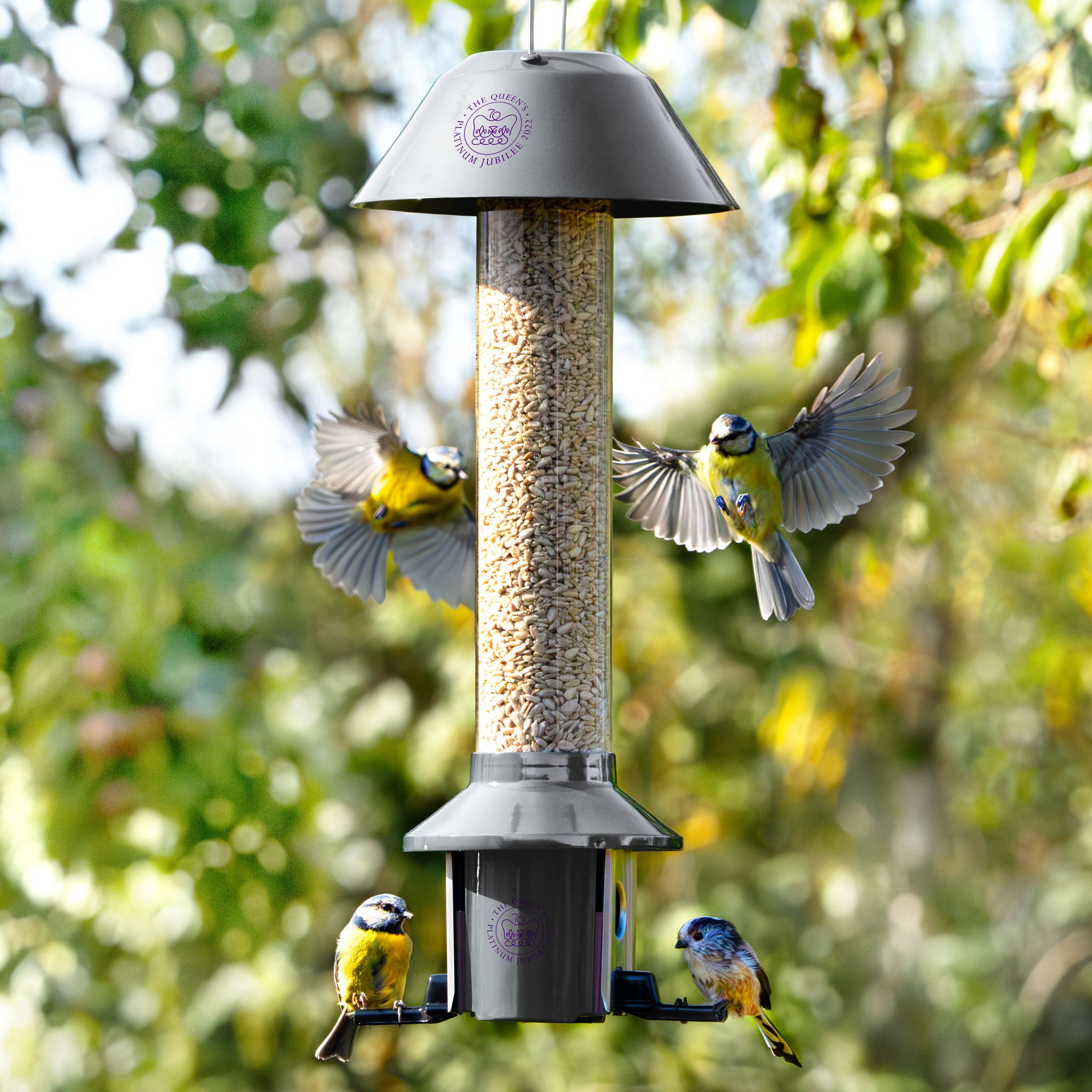 Roamwild PestOff Eekhoornbestendige Voederbak voor Vogels - Compact