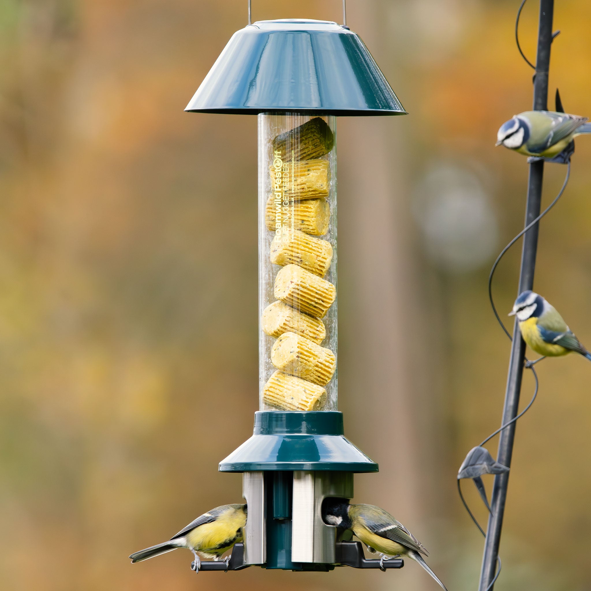 Roamwild PestOff Bird Feeder For Suet Nuggets/Fat Balls
