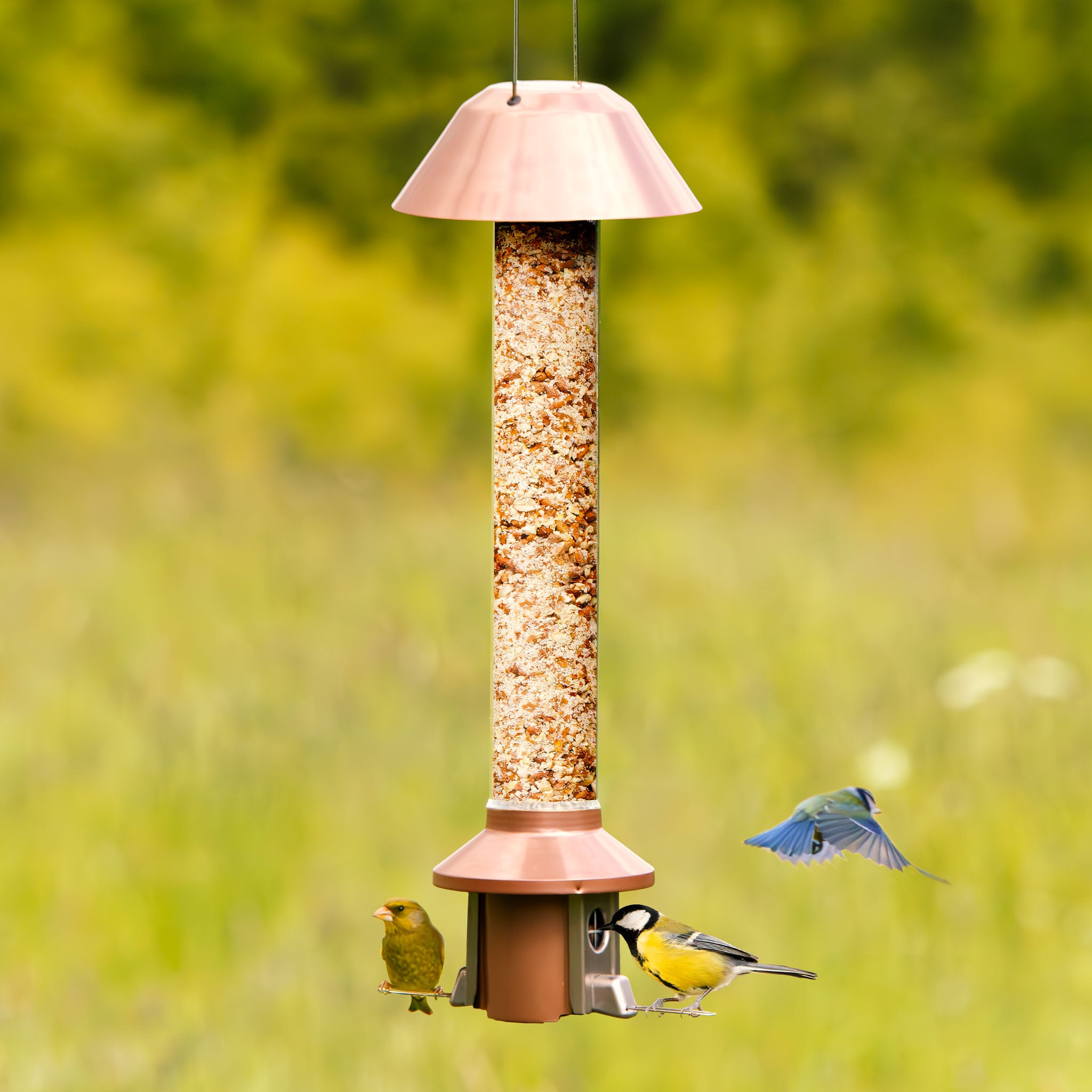 Roamwild PestOff Squirrel Proof Bird Feeder 2.0 | Antique Copper