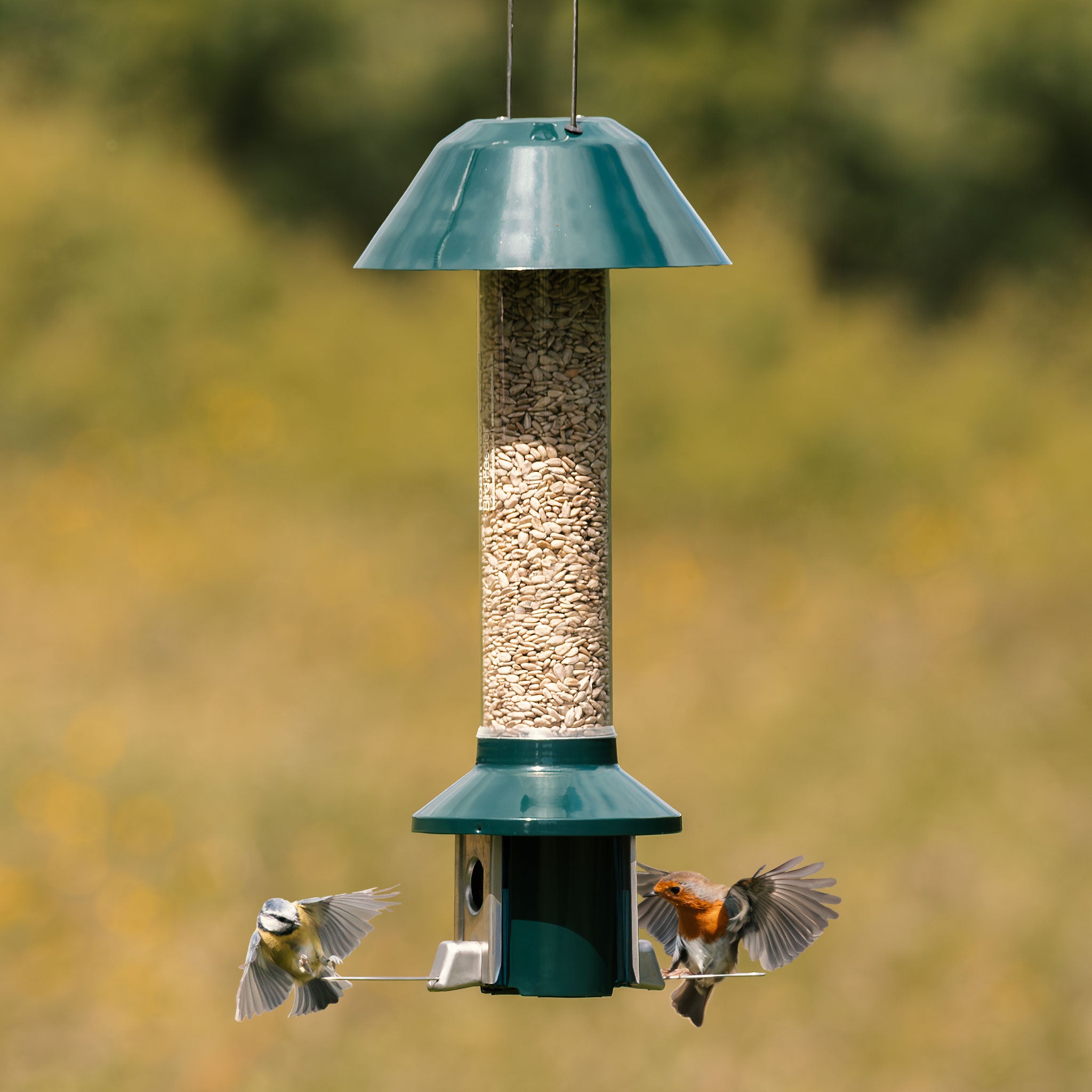 Roamwild PestOff Squirrel Proof Bird Feeder - Compact
