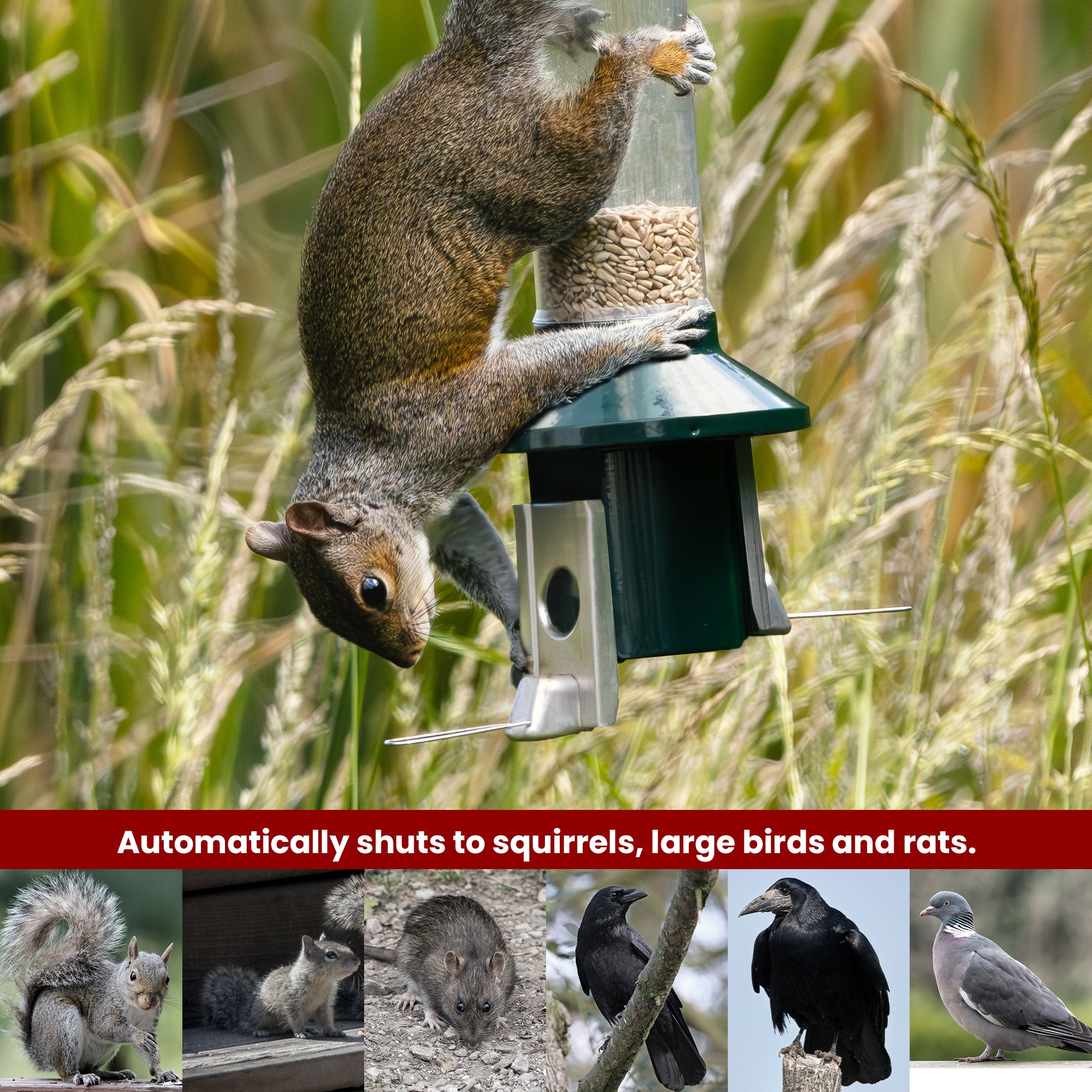 Roamwild PestOff Squirrel Proof Bird Feeder - Compact