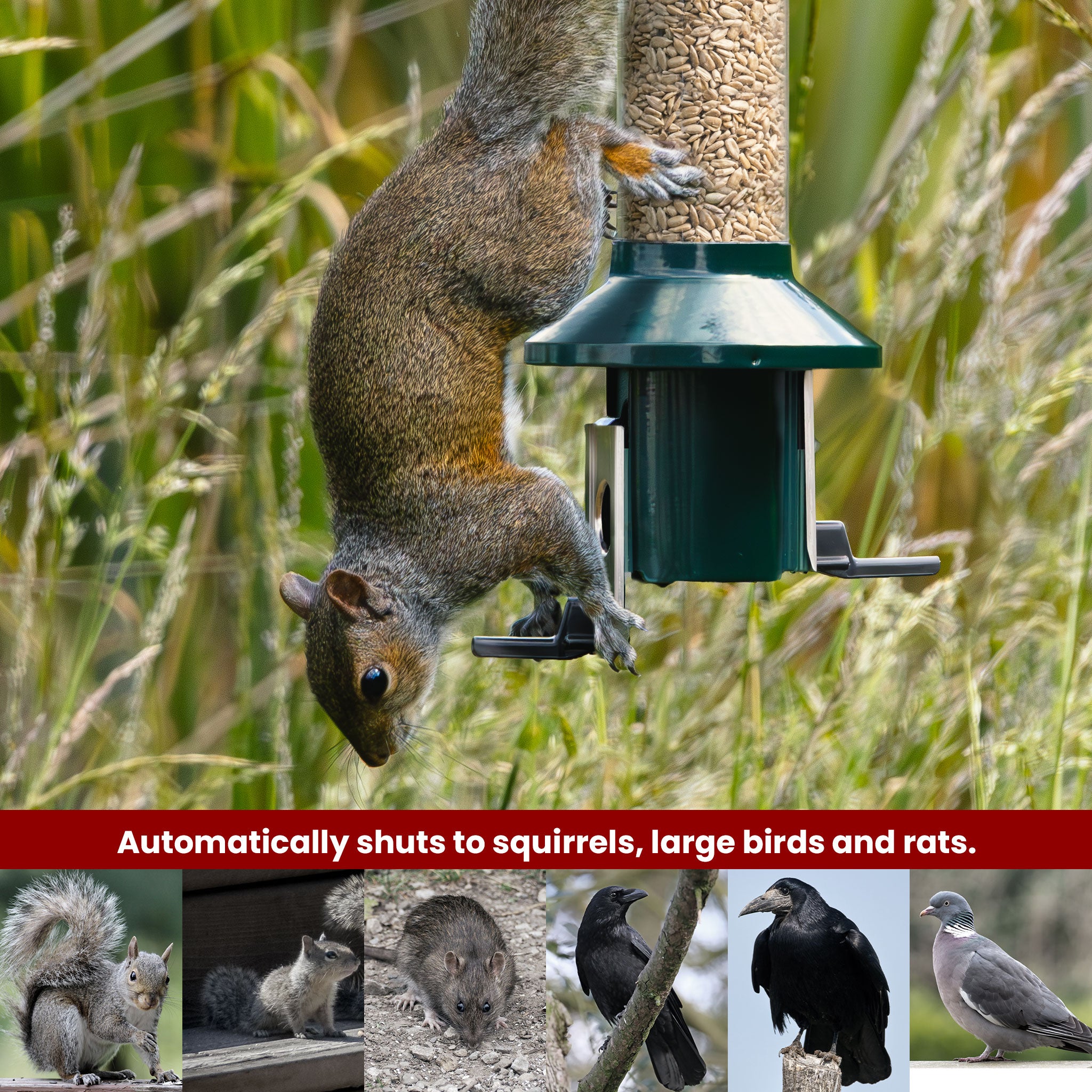 Roamwild PestOff Eekhoornbestendige Voederbak voor Vogels - Compact