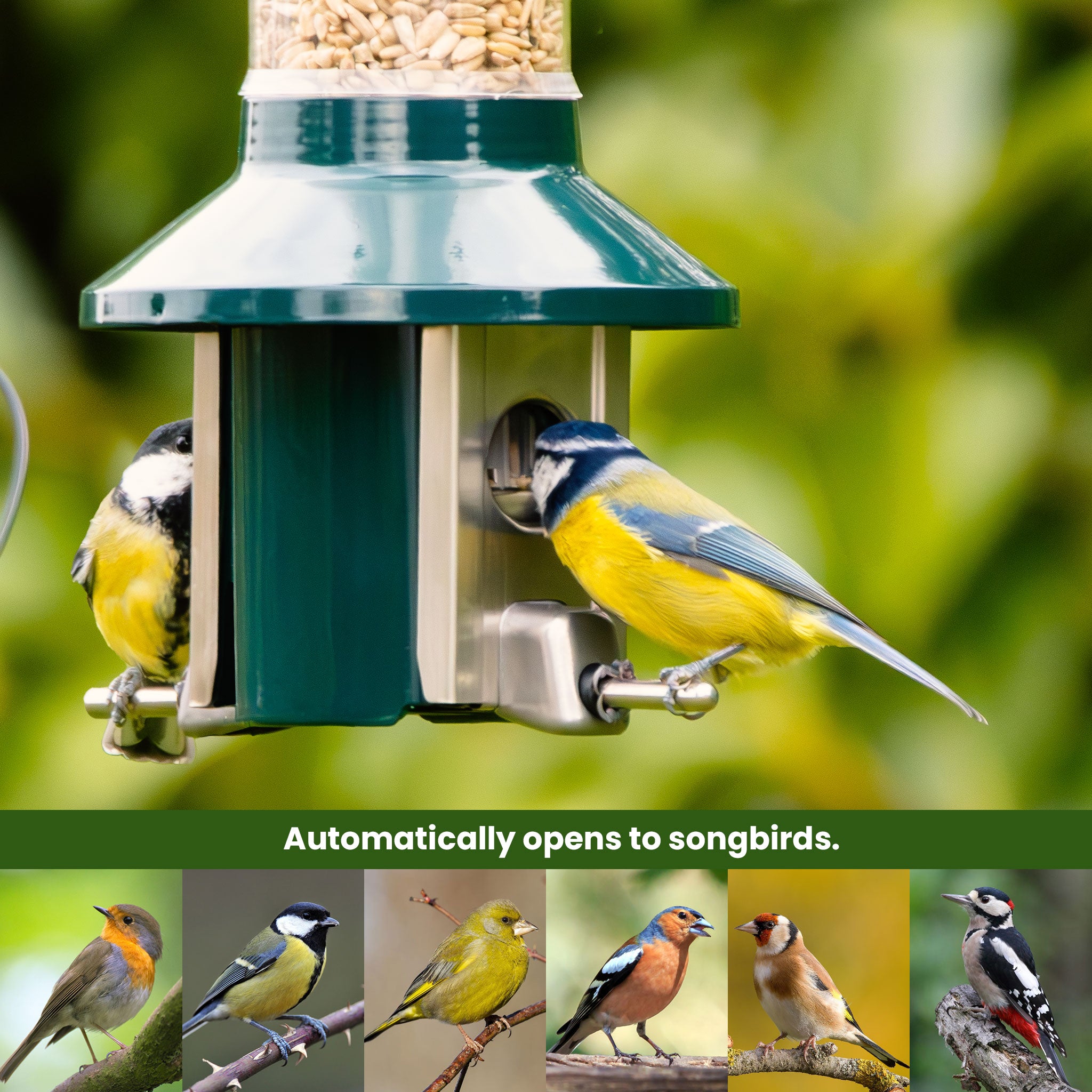 Roamwild PestOff Bird Feeder 3.0