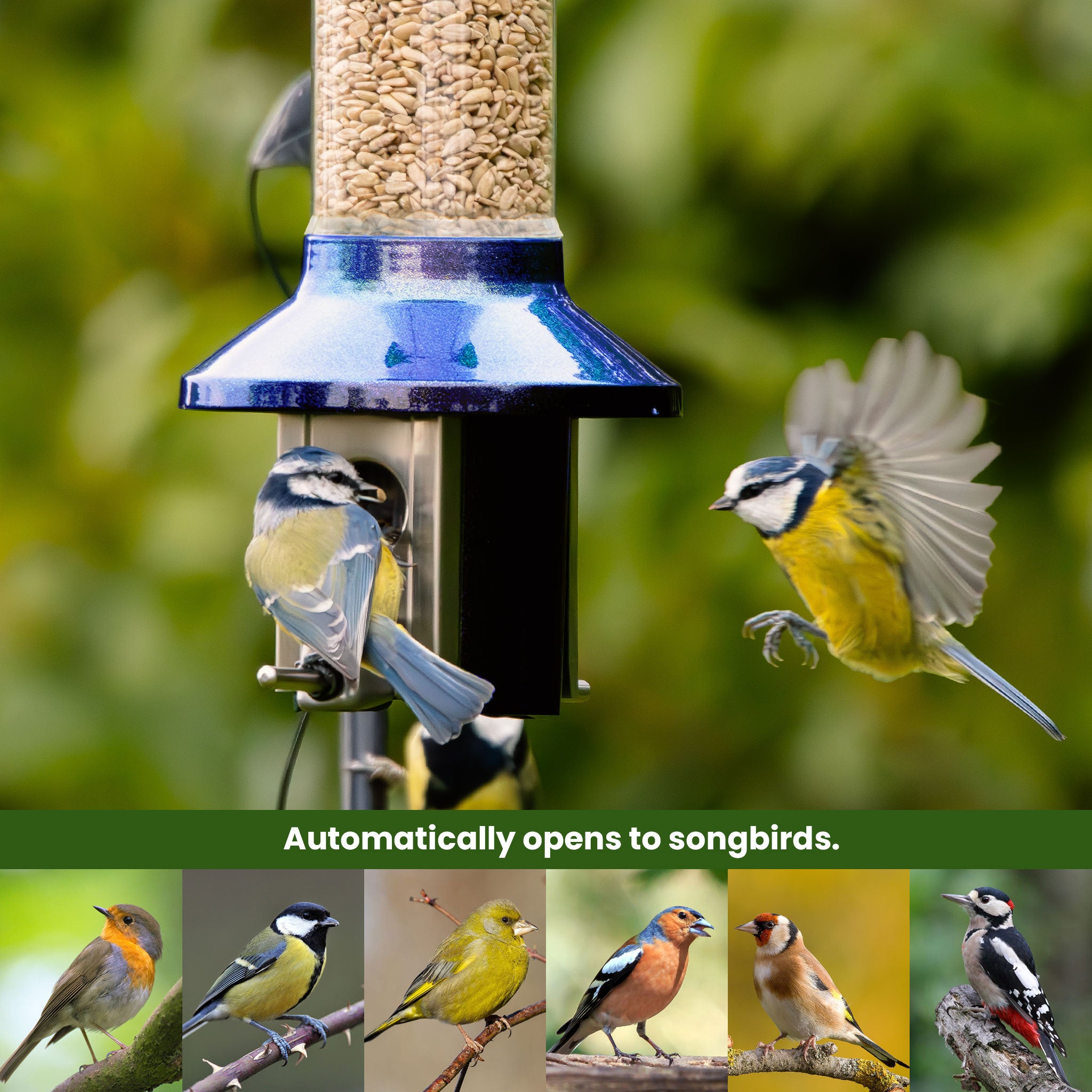 Roamwild PestOff Bird Feeder 3.0