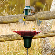 Roamwild PestOff Bird Seed Catcher