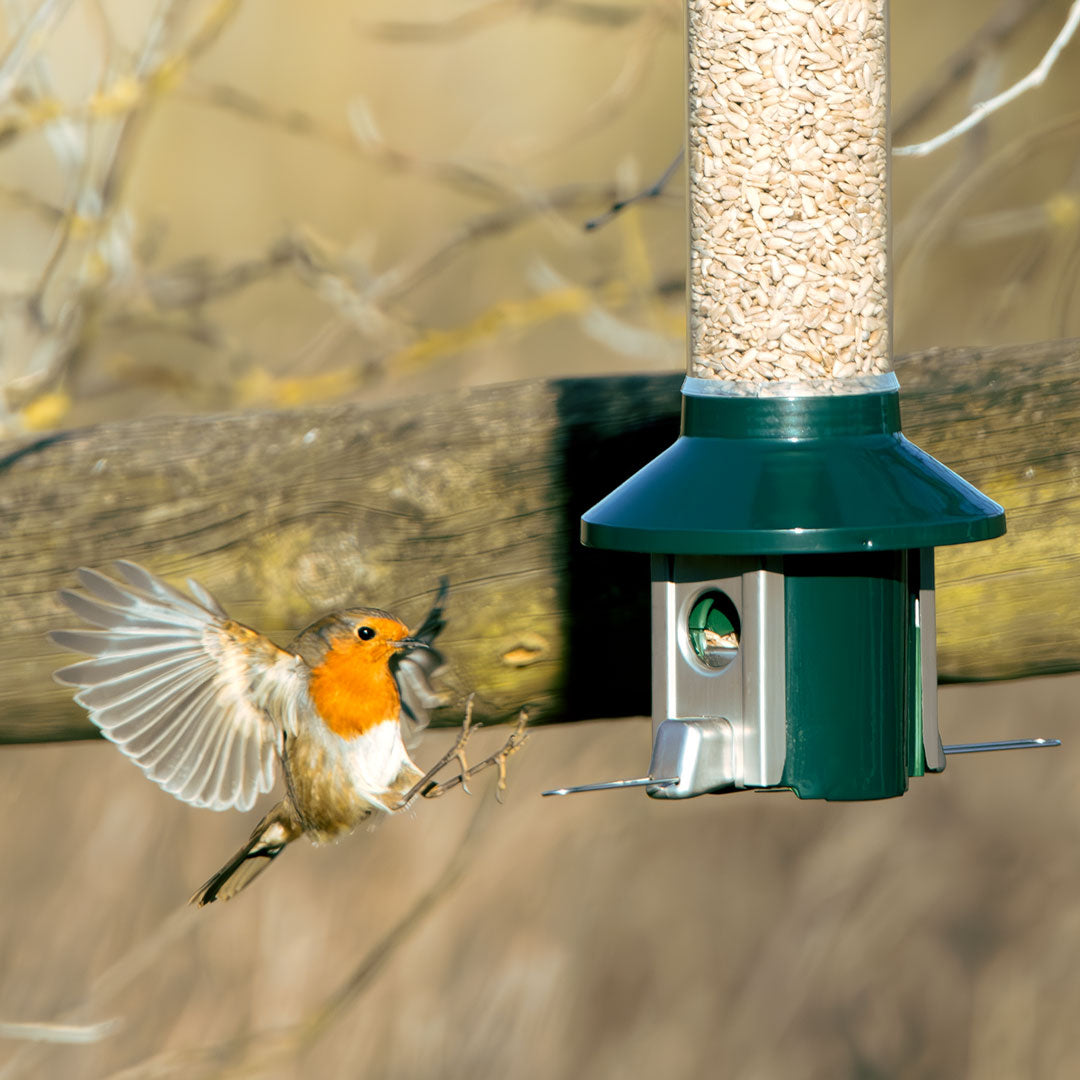 Roamwild PestOff Squirrel Proof Bird Feeder 2.0 For Mixed Seed/Sunflower Hearts