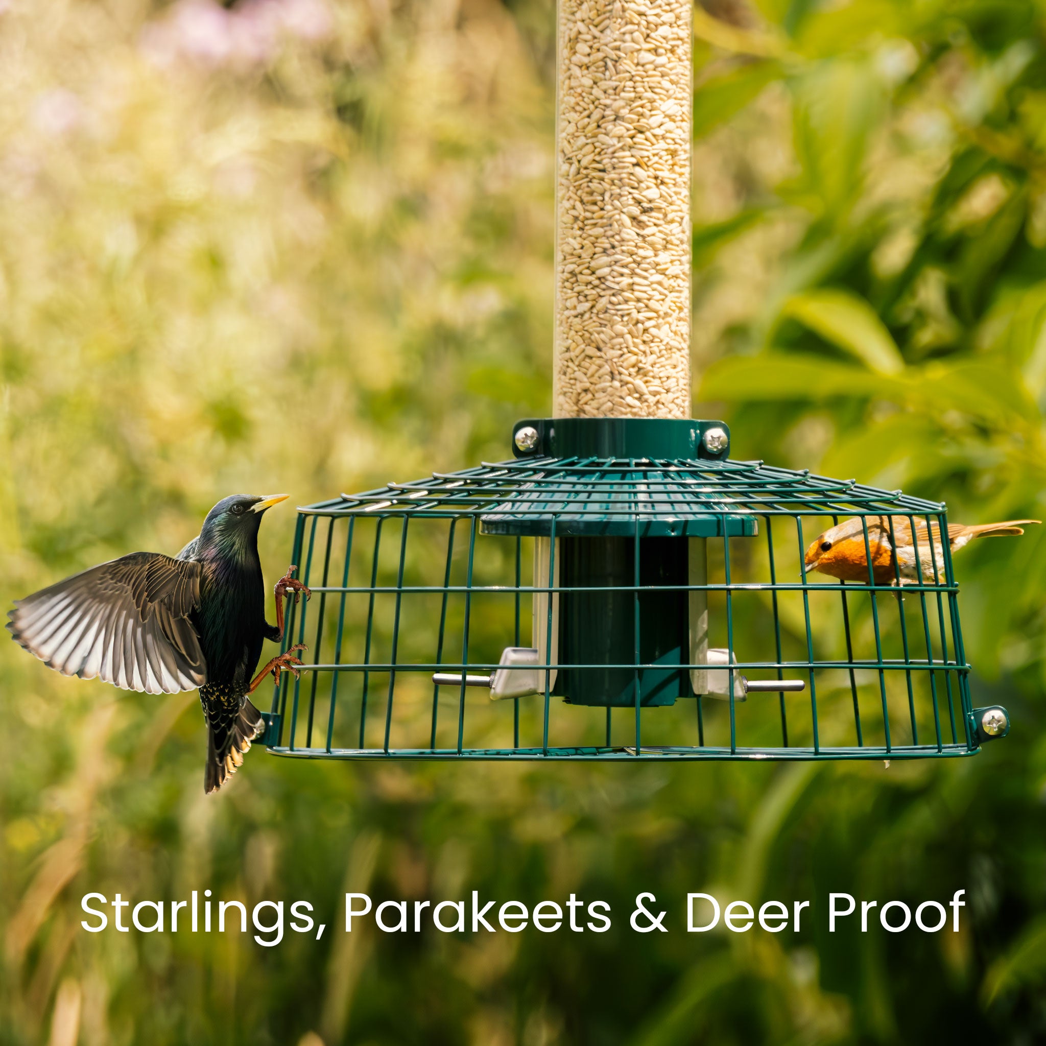Roamwild PestOff Starling Proof Cage Accessory